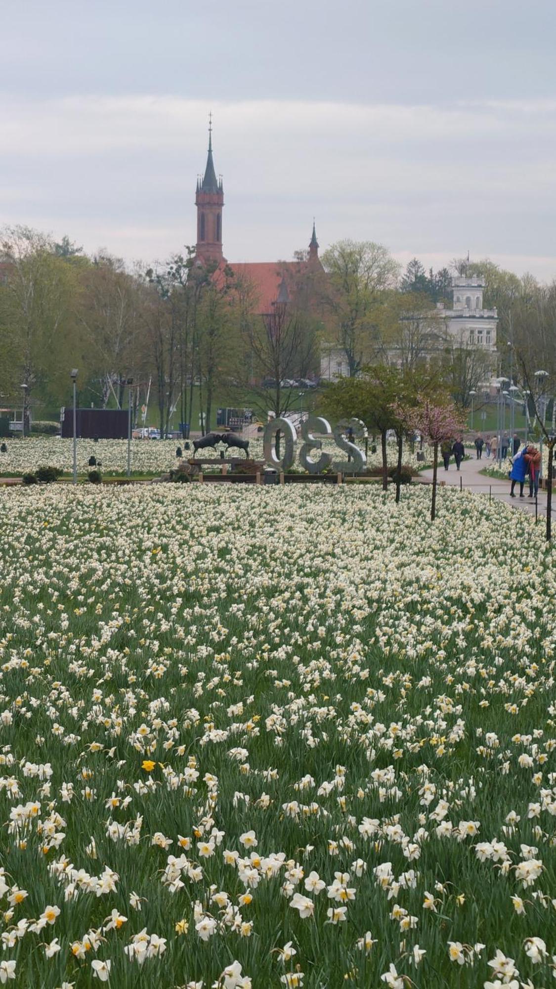 Druskininku Pasaga Druskininkai Exteriör bild