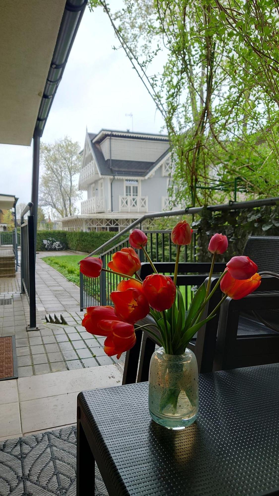 Druskininku Pasaga Druskininkai Exteriör bild